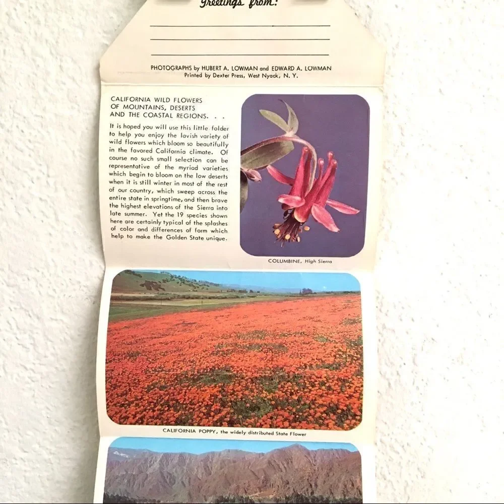 ‎Vintage California wildflower postcard set